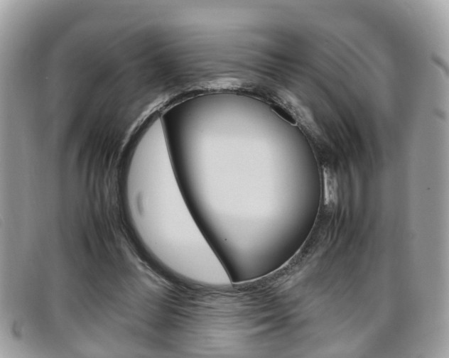 X0000099310300200805020738