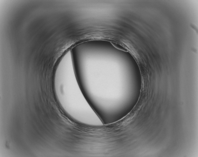X0000099310301200805020738