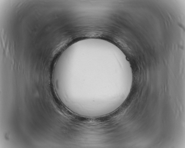 X0000099310303200805020738