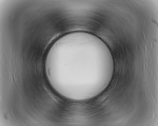 X0000099310304200805020737