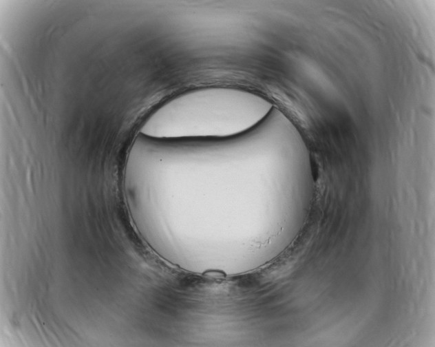 X0000099310306200805020737