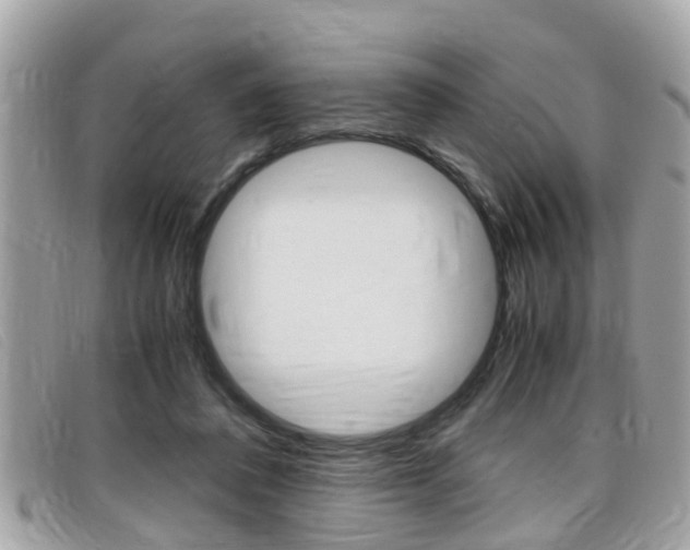 X0000099310308200805020737