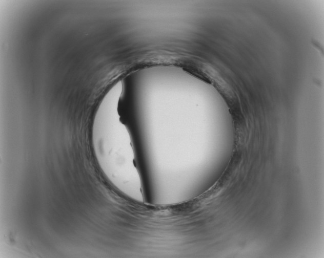 X0000099310309200805020737