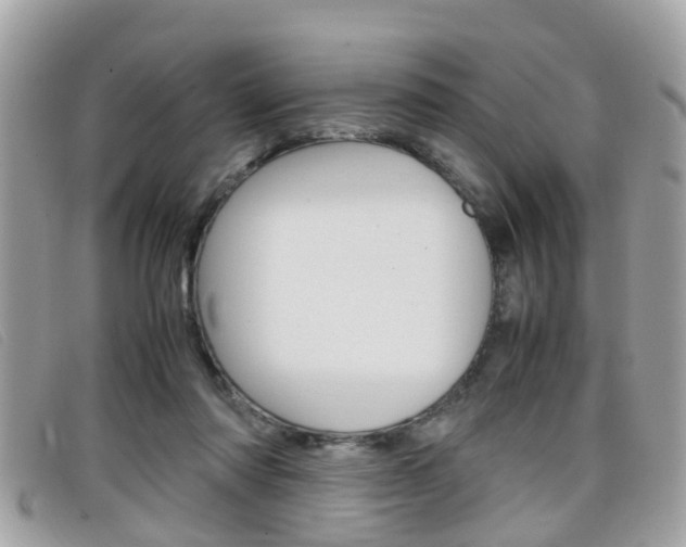 X0000099310310200805020737