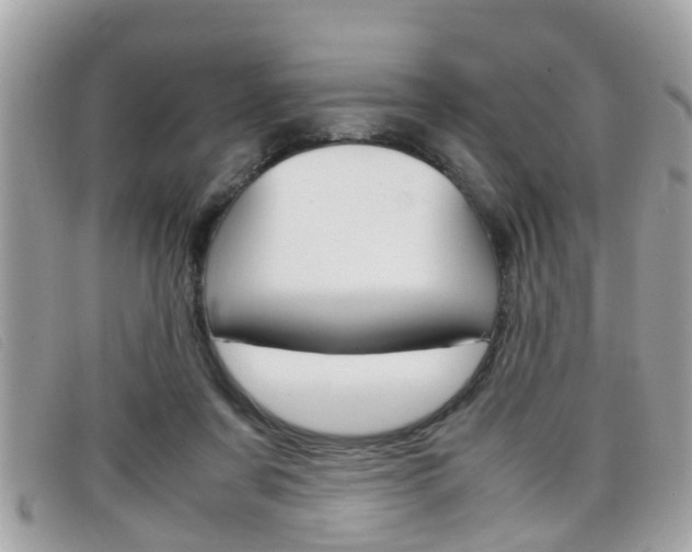 X0000099310311200805020737