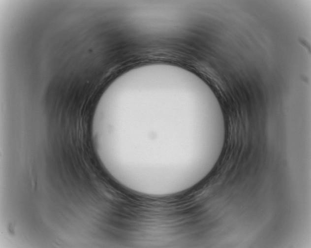 X0000099310312200805020737