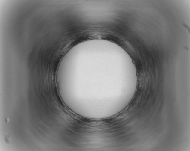 X0000099310314200805020737