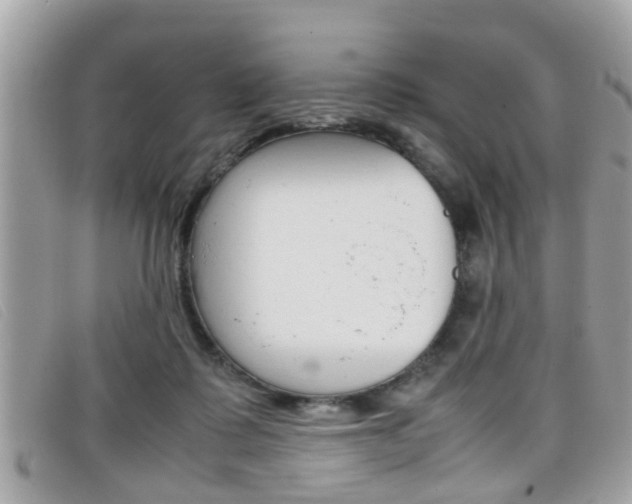 X0000099310315200805020737
