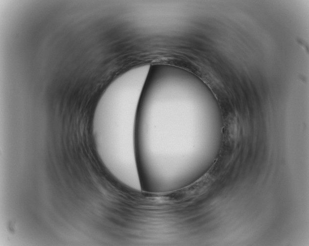 X0000099310316200805020737