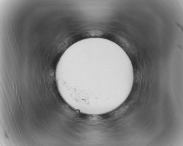 X0000099310321200805020737