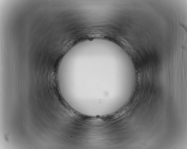 X0000099310322200805020737