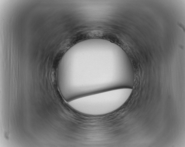 X0000099310323200805020737