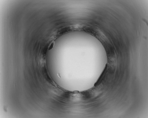 X0000099310324200805020737