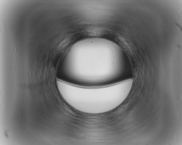 X0000099310325200805020737