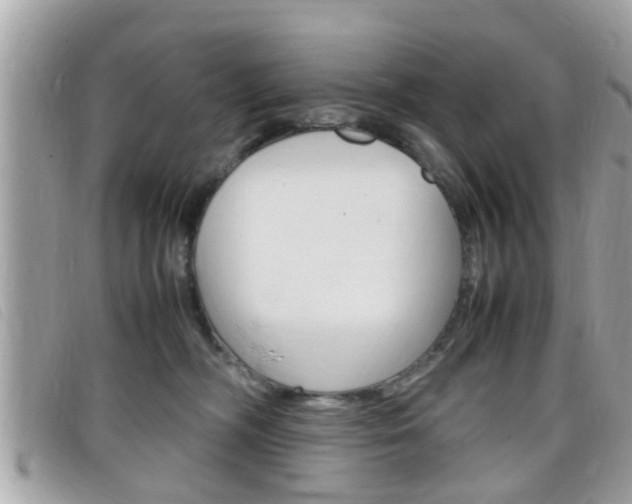 X0000099310326200805020737