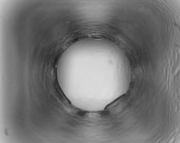 X0000099310327200805020737