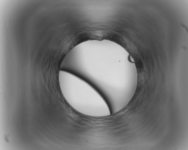 X0000099310331200805020737