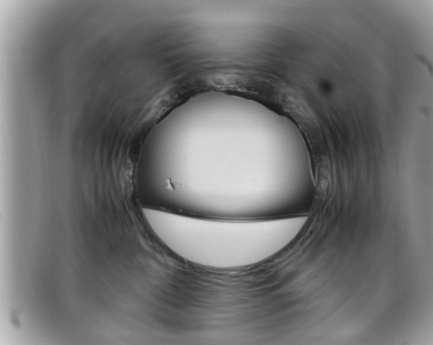 X0000099310332200805020737