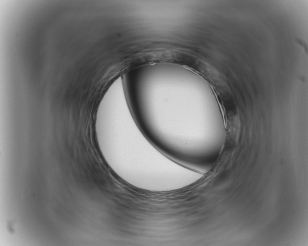 X0000099310333200805020737