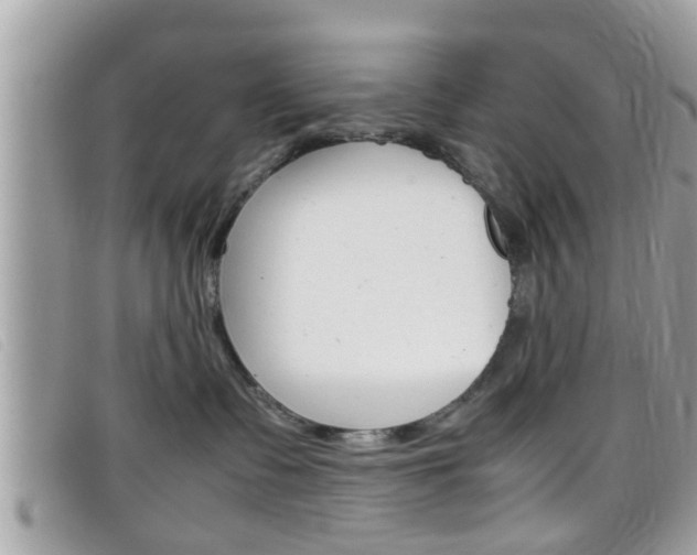 X0000099310335200805020737