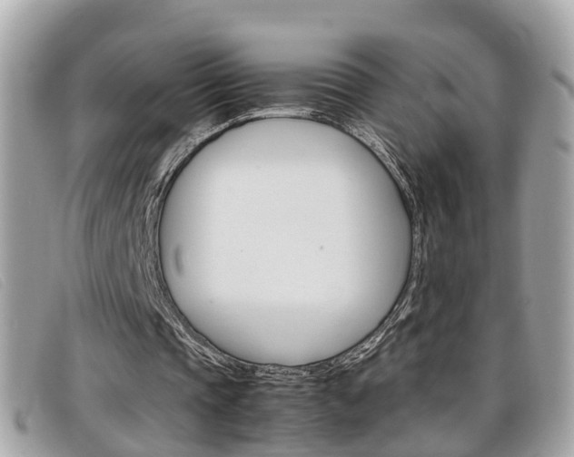 X0000099310337200805020736