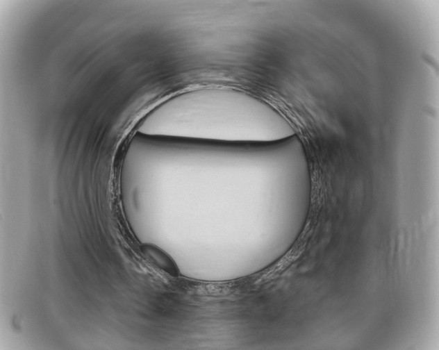X0000099310338200805020736