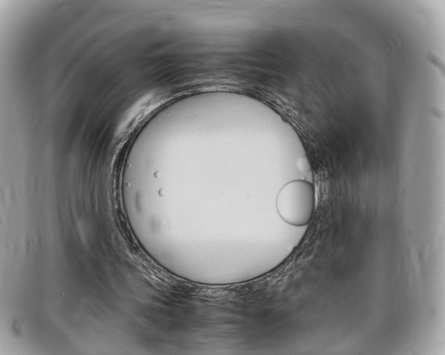 X0000099310339200805020736