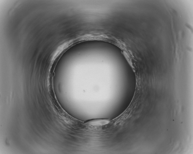 X0000099310340200805020736