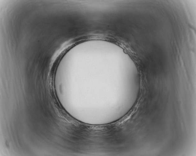 X0000099310343200805020736
