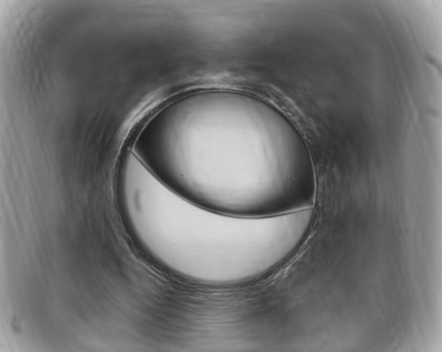 X0000099310344200805020736
