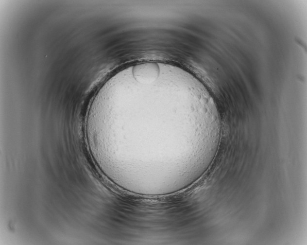 X0000099310347200805020737