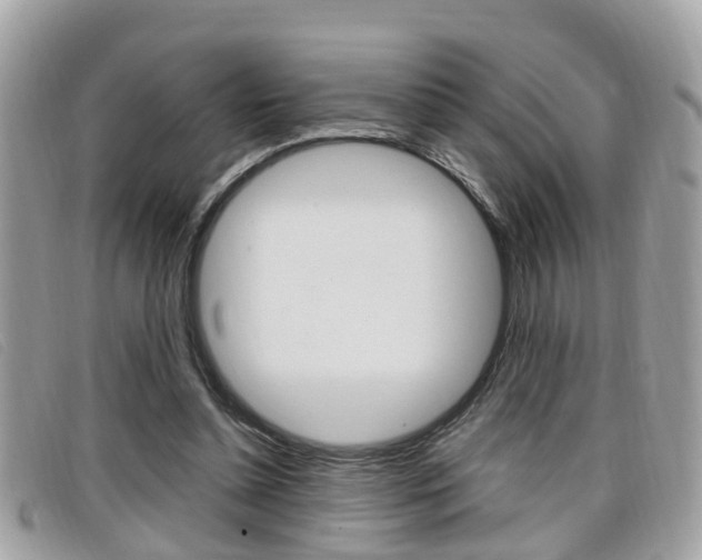 X0000099310348200805020737