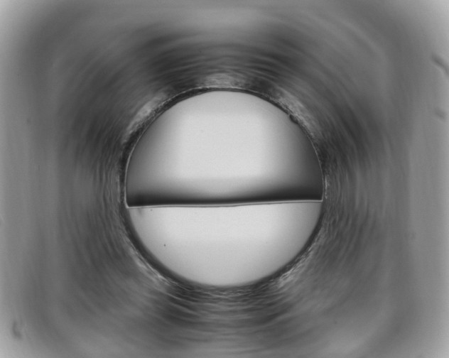 X0000099310349200805020737