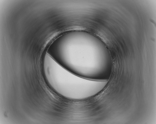 X0000099310350200805020737