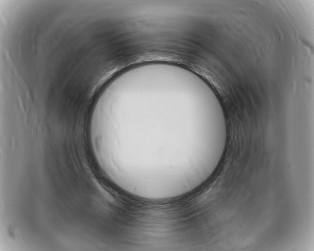 X0000099310352200805020737