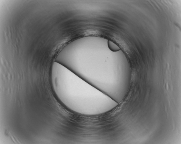 X0000099310353200805020737