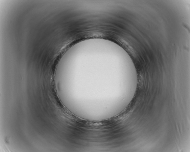 X0000099310355200805020737