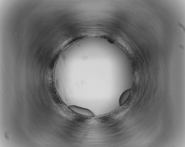 X0000099310356200805020737