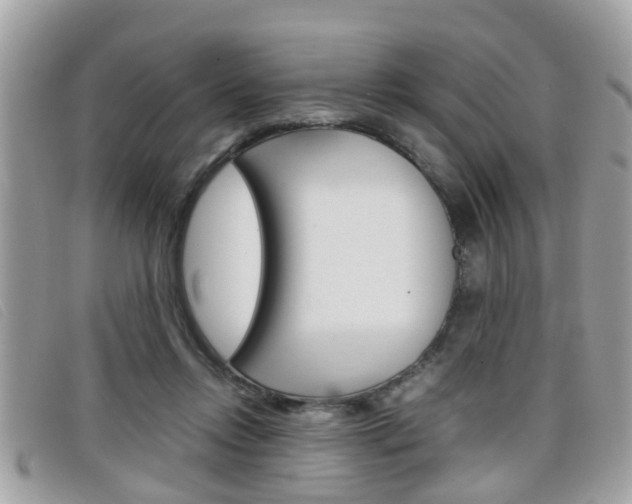X0000099310358200805020737