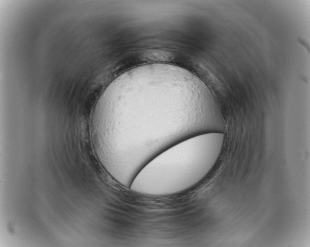 X0000099310359200805020737