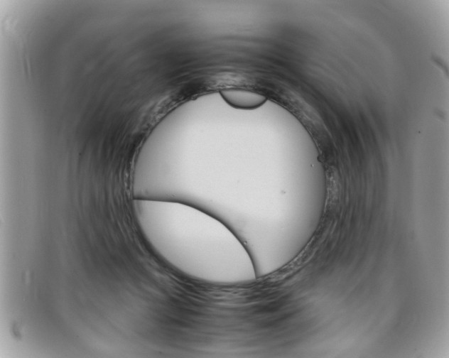 X0000099310361200805020737