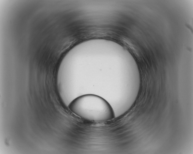 X0000099310362200805020737