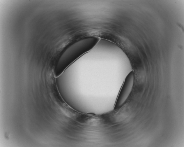 X0000099310364200805020737