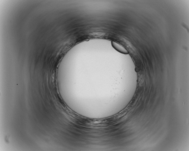 X0000099310365200805020737