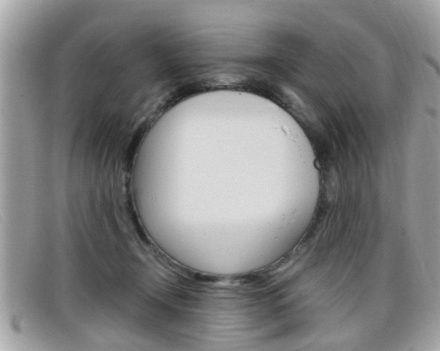 X0000099310366200805020737