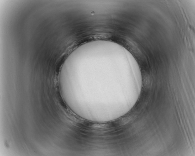 X0000099310367200805020737
