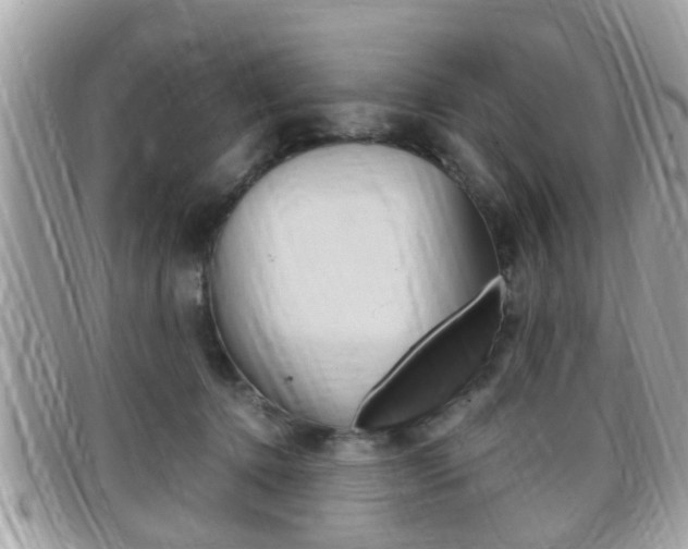 X0000099310368200805020737