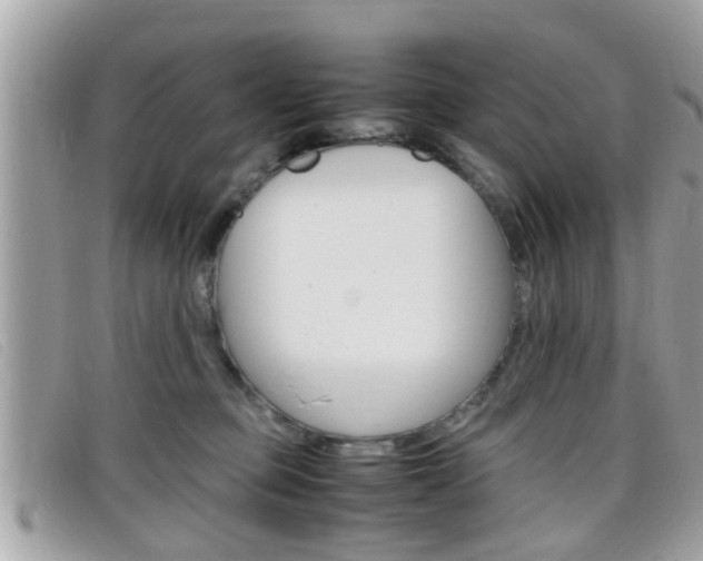 X0000099310373200805020737