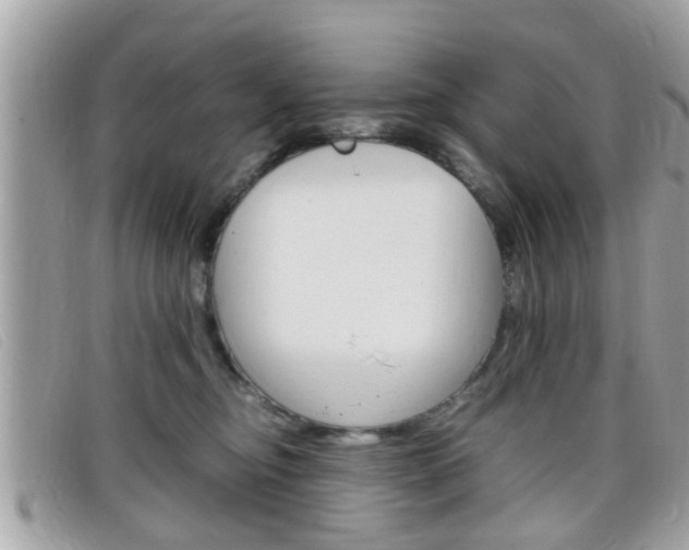 X0000099310374200805020737