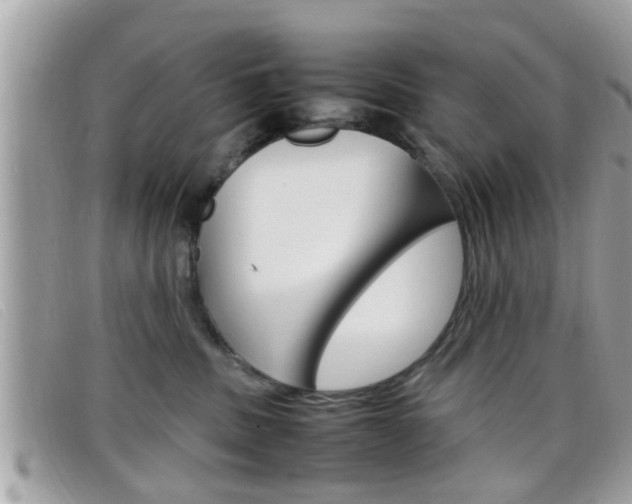 X0000099310379200805020737